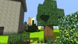 Texture Experiments